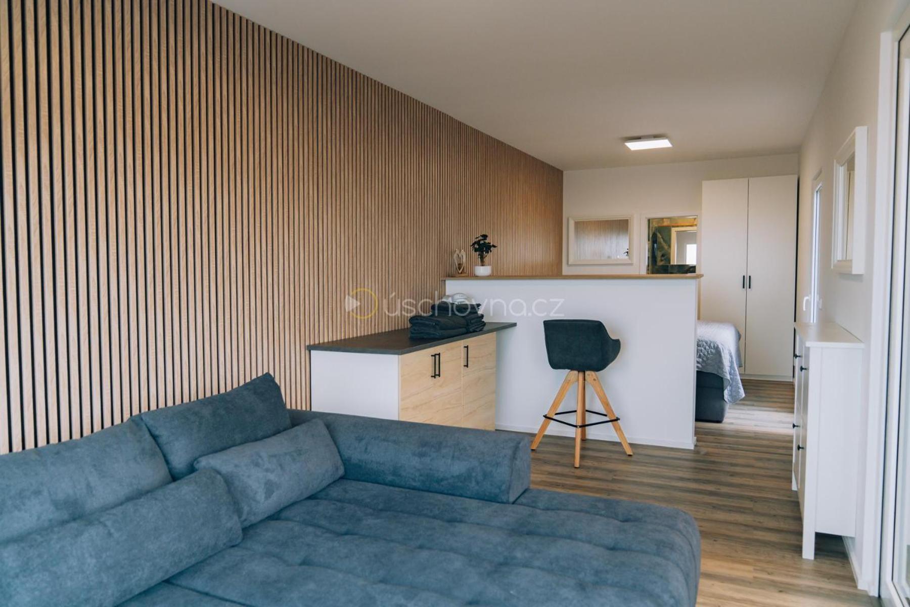 Airport Luxury Apartment & Spa Prague Bilik gambar